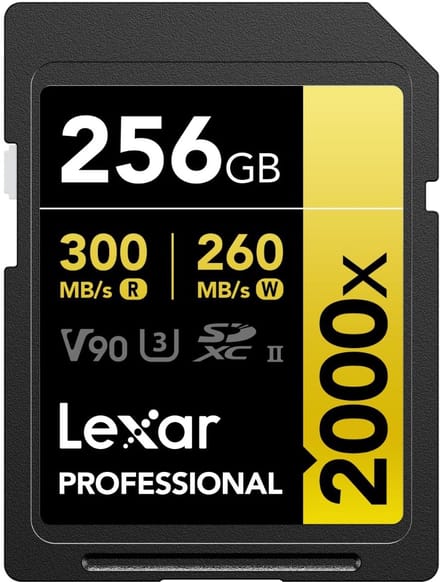 Professional 2000x SD Kaart 256GB voor Dailygoods en Videocamera's