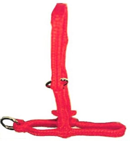 Excellent Halster Kalf Vaars - Verstelbaar - Breed - Oranje - 25 x 10 x 4cm