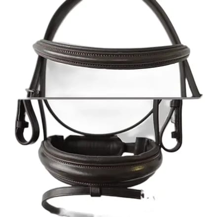 Bridle paardrijden met enkele teugels Lexhis Luna