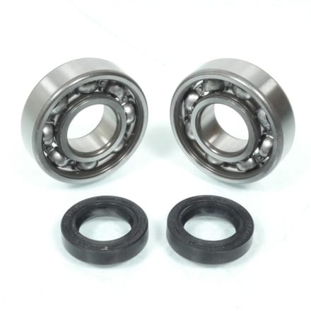 Roulement ou joint spi moteur RSM pour Scooter Peugeot Ludix PP/80 Neuf