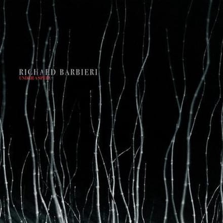 Under A Spell - Richard Barbieri