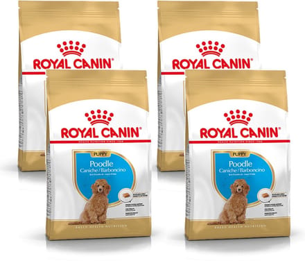 Royal Canin Poodle - Puppy-Hondenvoer - 4 x 3 kg