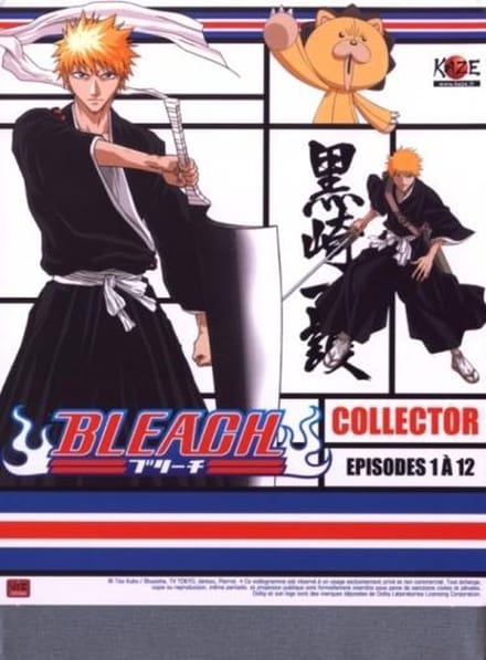 Bleach Tin Box 1 (Aflevering 1-12)