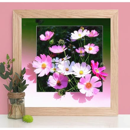 5D Diamant Schilderij Bloem Diamant Borduren Verkoop Steentjes Foto DIY Kruissteek Home Decor Cadeau 30X30CM white