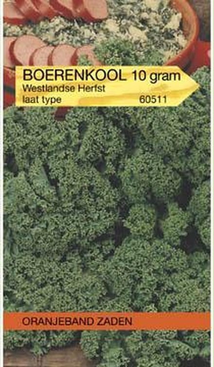 Boerenkool Westlandse Herfst (laat type), 10 gram