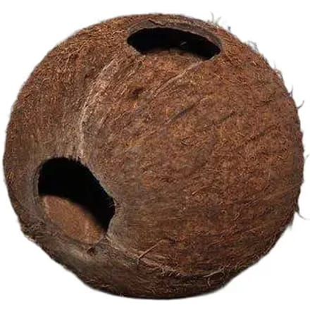 JBL Cocos Cava L natuurlijke kokosnoot schuilplaats voor aquarium en terrariumdieren 1/1