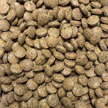 Aquarium - Visvoer - Super Tropical Nano Tabs - 100 ml