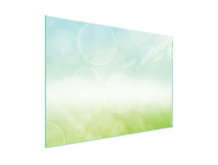 TMK ArtDeko - Protectieplaat - Gehard Glas - 70x52 cm - Stokrozen