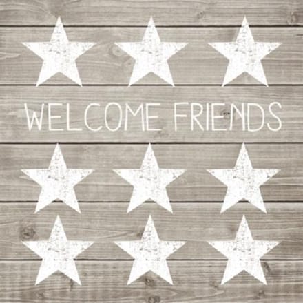 PPD servetten Welcome Friends