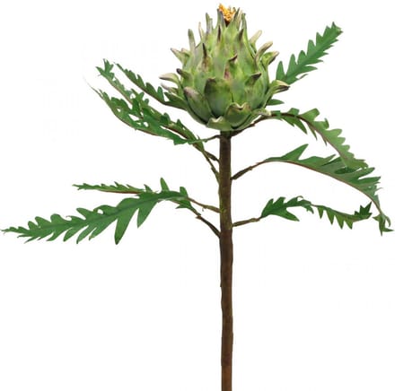 Artisjok Artisjok Groen Deco Herfst Ø7.5cm H43cm
