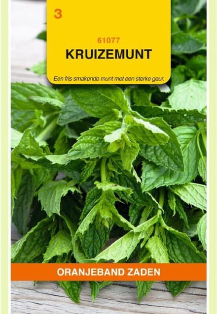 Oranjeband Zaden - Kuizemunt (Mentha spicata)