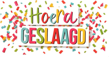 Kaart - Geslaagd - Hoera geslaagd - Per Stuk - Met Envelop