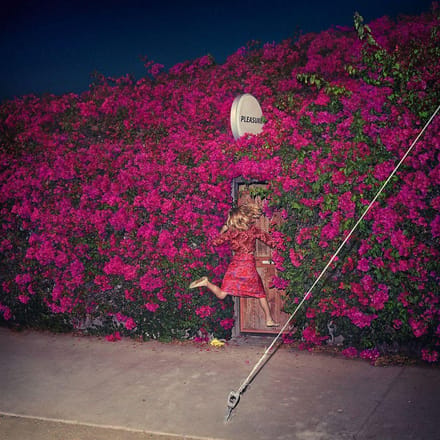 Pleasure -Ltd- - Feist