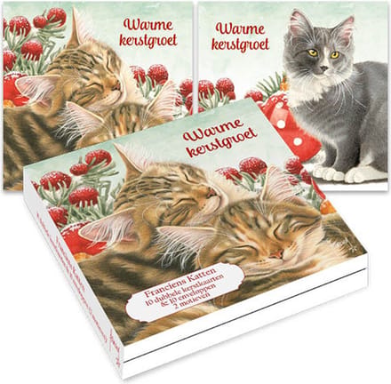 Franciens Katten kerstdoosje - Kat met krans - Kat met kerstballen