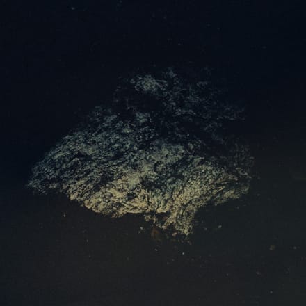Multicast Dynamics - Lost World (LP)