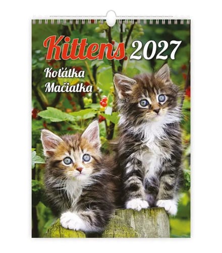 C180-27 Cute Kittens Kalender A3+ 2027