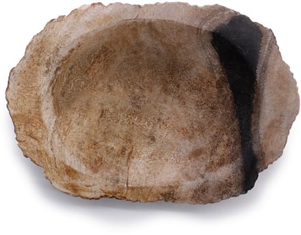Petrified Wood Black Soap Dish