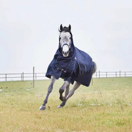 Paardendeken voor buiten in het tussenseizoen Horze Combo Avalanche - 1200D 150g