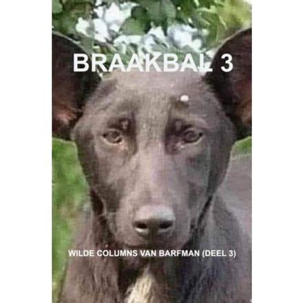 Braakbal 3 - B. Arfman