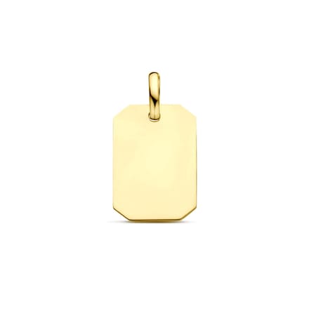 9K Geelgouden 9k graveerhanger 20 mm - 8000167