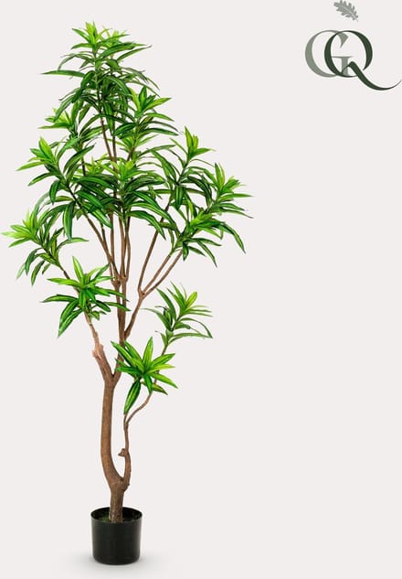 Kunstplant - Dracaena - Drakenboom - 155 cm