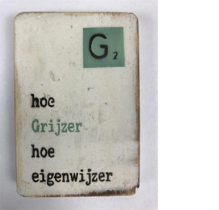 Houten Magneet 6x9 cm Grijzer