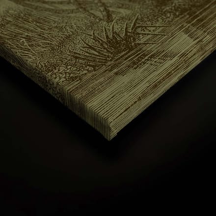 Canvas DD120599 Jurassic A.S. Création