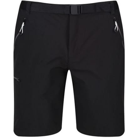Regatta Heren Xert III Stretch Shorts (Zwart)
