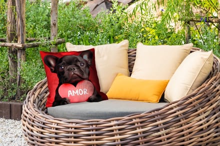 Tuinkussen - Amor - Hond - Hartje - Rood - 40x40 cm - Weerbestendig