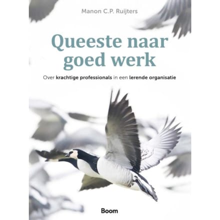 Queeste Naar Goed Werk - Manon C.P. Ruijters