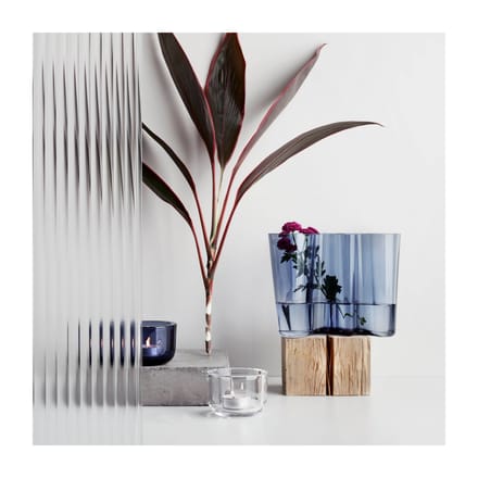Iittala - Alvar Aalto Vaas 16cm - cranberry - rood