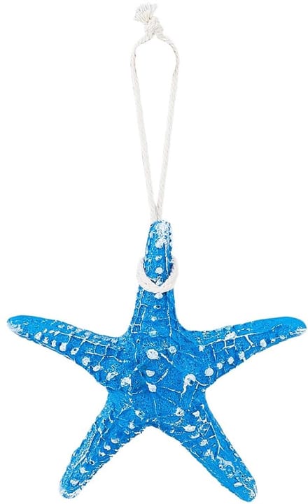 Dailygoods - Decoratieve Blauwe Zeester van Kunsthars 21 cm