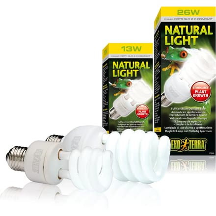Bol Exo Terra Natural Light Fluocompact