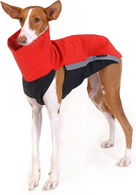 Hondenjas van Softshell - Rood - Softshell body - Windhond - Kelpie - Rapid Dog Wear - Maat L