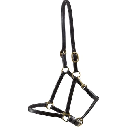 Leren halster voor paarden Premier Equine