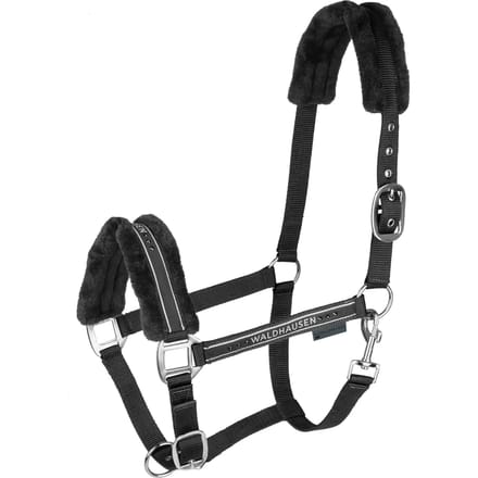 Halster voor bontpaard Waldhausen Elegant