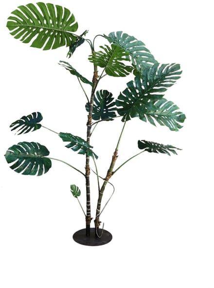 PTMD Tree Green Monstera Leaf Plant High S