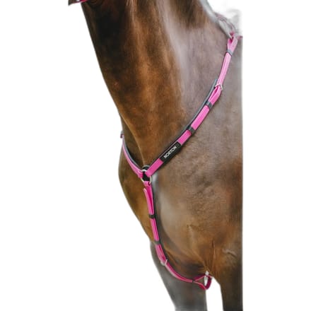 Jachthalsband voor paarden Norton Endurance Pop