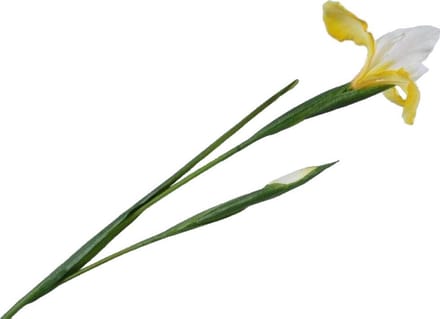 Silk-ka - Kunstbloem - iris - geel - H76 cm - 2 stuks