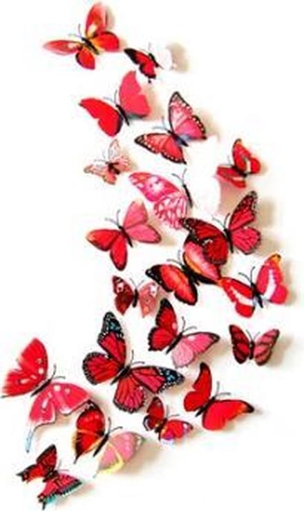 3D Vlinders - Muurdecoratie - Mix Rood