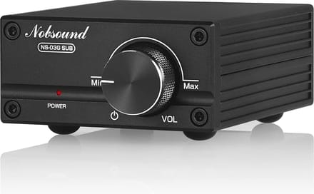 100W Subwoofer Versterker - Digitale Mono Kanaal Audio Mini Amp