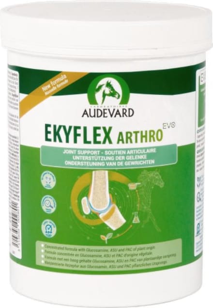 Audevard Ekyflex Arthro Evo