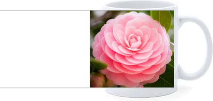 Beker - Japanse Roos - Roze - Camellia Japonica