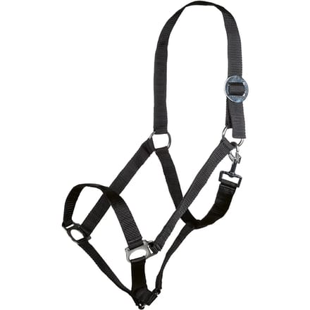 Halster voor paarden HKM Stars Economy