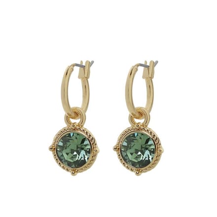 Biba Hang Oorbellen Goud met Swarovski Steentje Erinite