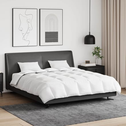 vidaXL - Winter - Duvet - met - kussen - 3 - st - Wit - Donsveer