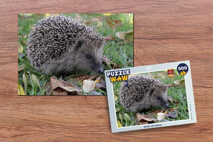 Puzzel Egel in gras - Legpuzzel - Puzzel 500 stukjes