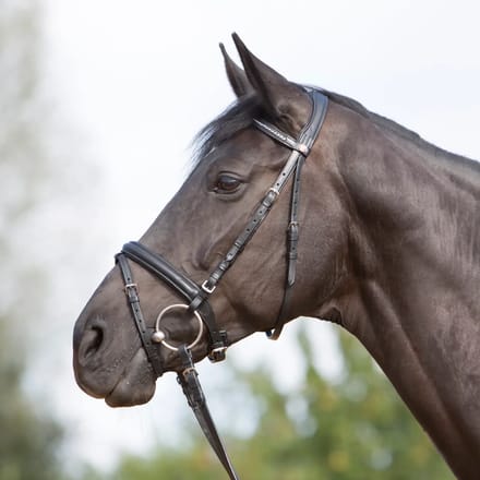 Gecombineerd hoofdstel met neusriem Kieffer Ultrasoft®