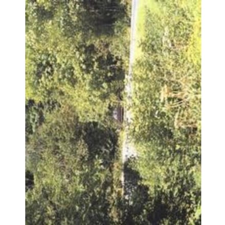 In Almost Every Picture - T. Whisnand