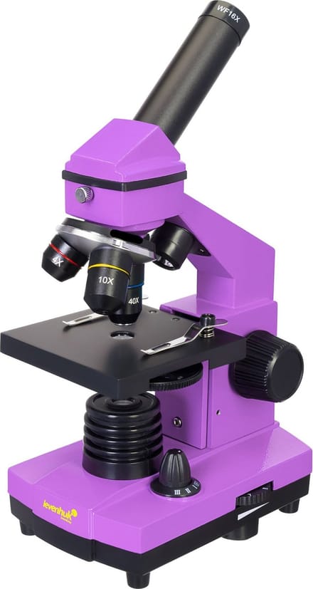 Levenhuk - 69067 - Rainbow 2L PLUS Amethyst Microscoop - (EN)